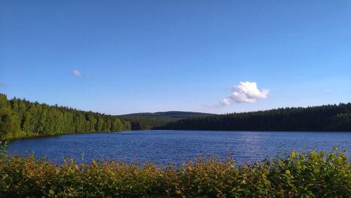 a large lake with trees on the side of it at Großzügige Fewo Peter in Bärenstein in Bärenstein