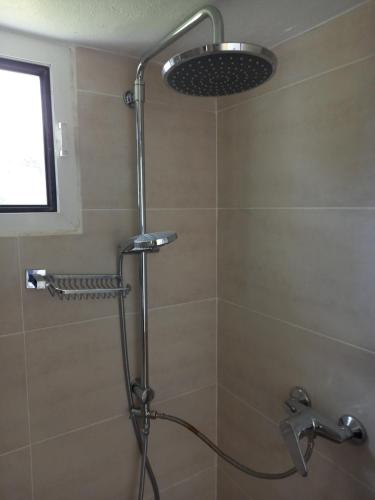 a shower with a shower head in a bathroom at Haraki Vineyard in Haraki