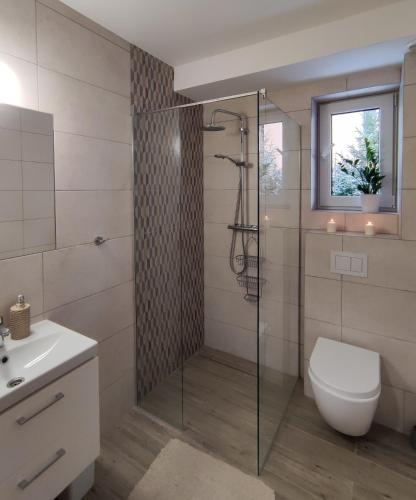a bathroom with a shower with a toilet and a sink at Wetlina Poza Trasą in Wetlina