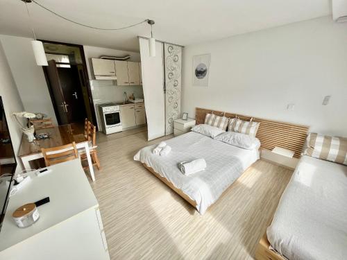 a large bedroom with a bed and a kitchen at Apartment TiSa, Bovec in Bovec
