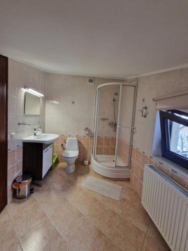 a bathroom with a shower and a toilet and a sink at Gospodarstwo Agroturystyczne Borówkowy Bukiet Smaków in Iwkowa