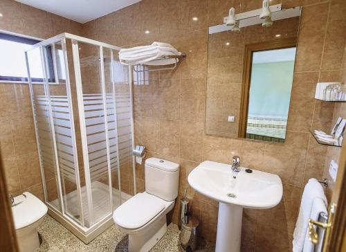 a bathroom with a toilet and a sink and a shower at Hospedería Puerta de la Catedral in Ciudad-Rodrigo