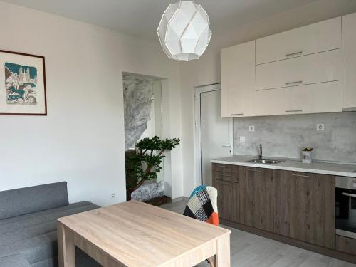 A kitchen or kitchenette at Vitosha 60
