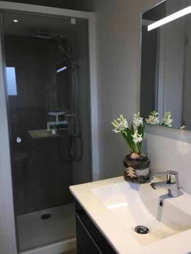 une salle de bain avec un lavabo et une douche dans l'établissement Pistache la vallee des noyers, à Lhommaizé