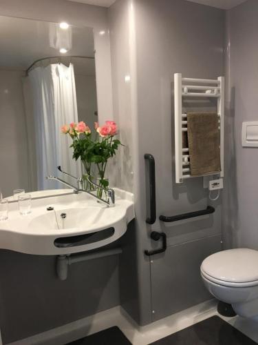 une salle de bain avec un lavabo, des toilettes et un miroir dans l'établissement Hibiscus la vallee des noyers, à Lhommaizé
