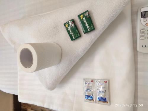 a roll of toilet paper and two batteries on a bed at Max Guest House in Agra