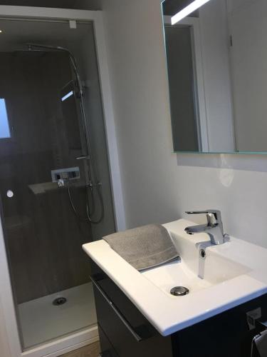 a bathroom with a sink and a shower with a mirror at Granny la vallée des noyers in Lhommaizé