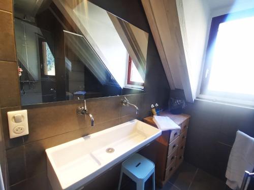 a bathroom with a sink and a mirror at Maison Aulon (Saint Lary) in Aulon