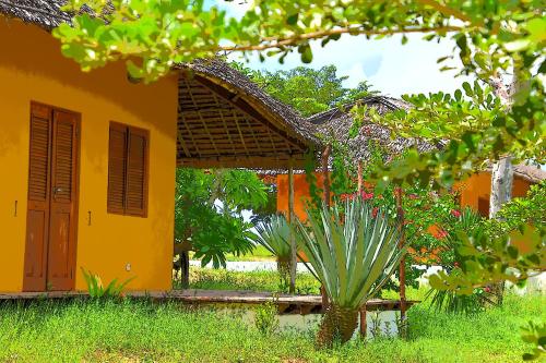 Zahrada ubytování Villa Moringa Lodge