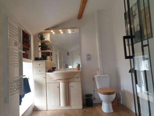 a bathroom with a sink and a toilet and a mirror at La maison poitevine in Chauvigny
