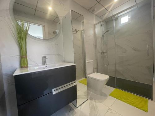 ein Bad mit einem Waschbecken, einer Dusche und einem WC in der Unterkunft ATICO - CANTOS DE SIRENA in Torremolinos