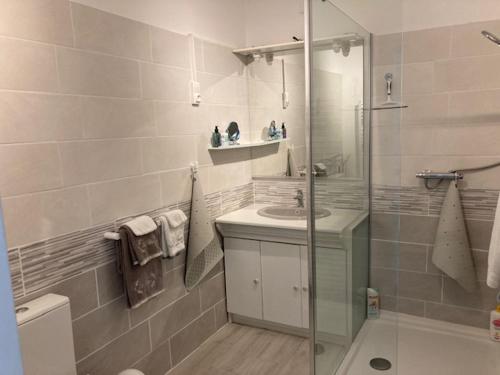 a bathroom with a shower and a sink and a toilet at Chai Saint Jean CAMELIA Piscine et SPA in Saint-Jean-de-Boiseau