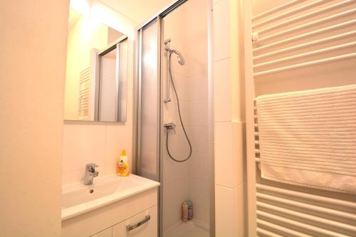 a white bathroom with a shower and a sink at UNIVERSUM APARTMENT 4 in Vienna