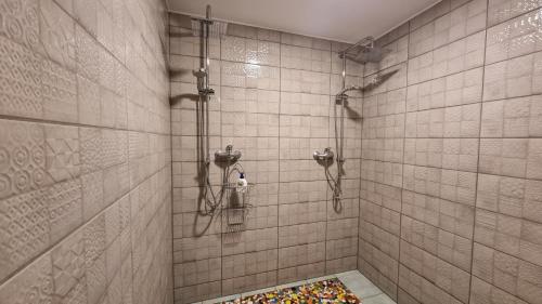 a bathroom with a shower with a colorful rug at Sodyba PILIAKIEMIS in Kurkliškės