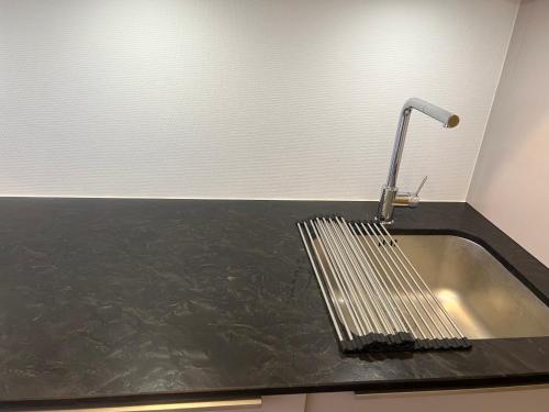 a kitchen counter with a sink and a faucet at Mandana in Strasbourg