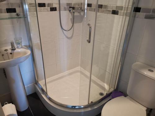 uma casa de banho com um chuveiro, um WC e um lavatório. em Llety Teifi Guest House em Cardigan