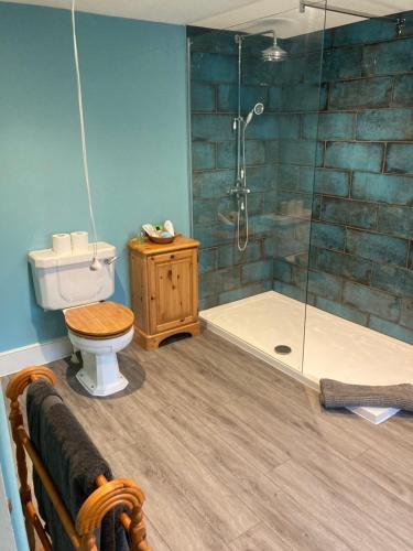 uma casa de banho com um chuveiro, um WC e uma banheira em Church Farm em Gillingham