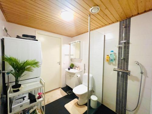 a bathroom with a shower and a toilet in it at Luxury of aristocrats near airport and jumbo in Vantaa