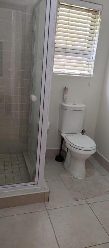 W łazience znajduje się toaleta i przeszklony prysznic. w obiekcie Happy Home Rondebosch w Kapsztadzie