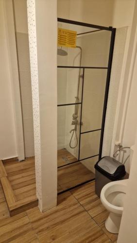 a bathroom with a shower and a toilet at D&D ROOM in Bucharest