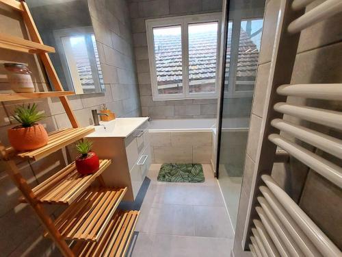 a small bathroom with a shower and a sink and a tub at Maison cosy 3 chambres à la campagne in LʼAbergement-Sainte-Colombe