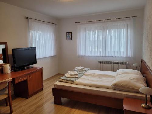 ビャウカにあるU Juhasa Miętówkaのベッドルーム(ベッド1台、デスク、テレビ付)