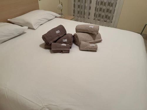 due asciugamani marroni posti sopra un letto di stella marina a Laigueglia