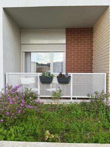 two potted plants on a balcony with a window at Aveiro Jasmin AL in Aveiro
