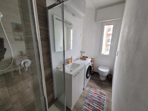 リニャーノ・サッビアドーロにあるArnica Apartmentのバスルーム(トイレ、洗面台、シャワー付)