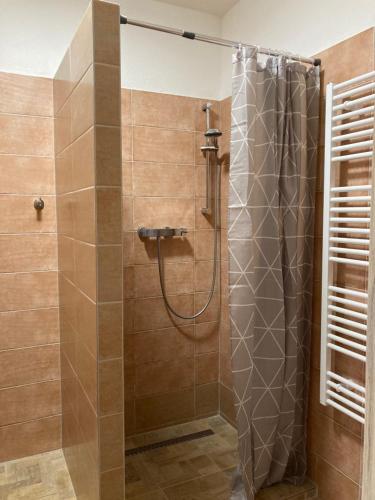 eine Dusche mit Duschvorhang im Bad in der Unterkunft Apartmány s klimatizací - Penzion U Kudláčků Pouzdřany in Pouzdřany