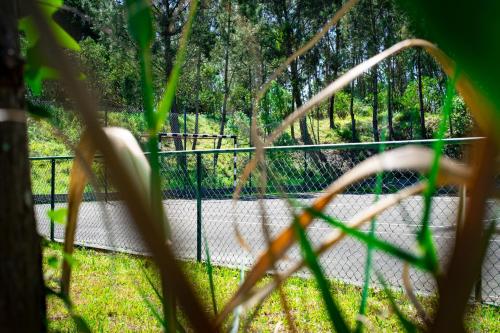 a view through a fence of a tennis court at Hotel Rural Quinta do Juncal in Serra de El-Rei