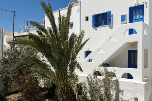 a palm tree in front of a white building at Elegant Cycladic Villa in Emporio Santorini