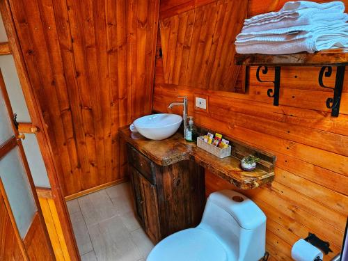 a bathroom with a blue toilet and a sink at Glamping Hakuna Matata in Monguí