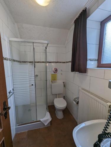 a bathroom with a toilet and a shower and a sink at Hotel Eiserner Anton in Bielefeld