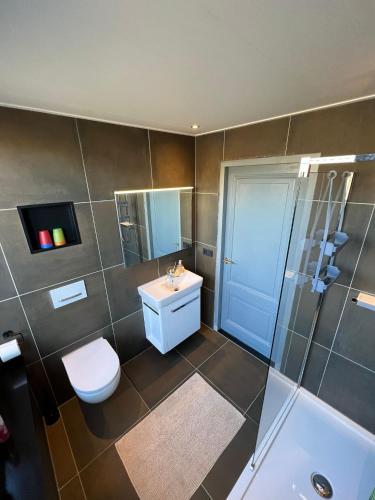 La salle de bains est pourvue de toilettes, d'un lavabo et d'une douche. dans l'établissement Villa Charlton 79a, à Flessingue