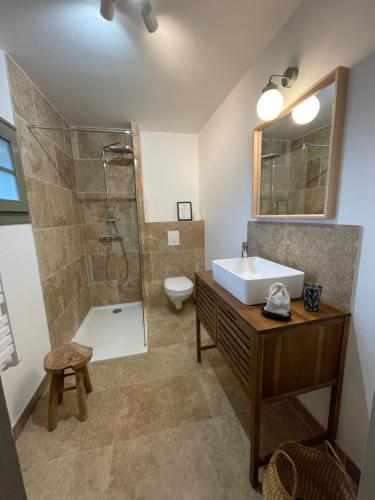 ein Bad mit einem Waschbecken, einer Dusche und einem WC in der Unterkunft Maison Marguerite, Maison de Charme,jacuzzi in Gigny
