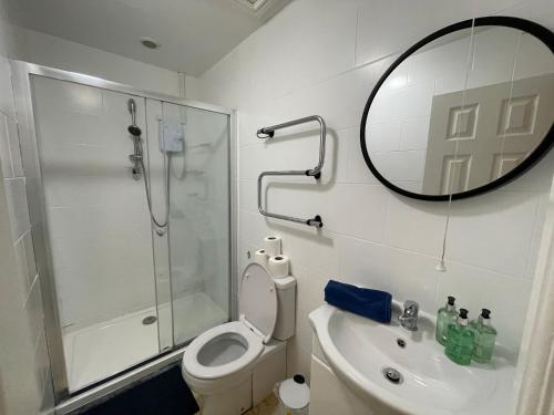 een badkamer met een toilet, een douche en een spiegel bij 6 Person Apartment in City Centre in Cardiff