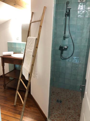 a ladder in a bathroom with a shower and a sink at Une chapelle en soie in Taulignan