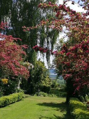 Les Loges-sur-Brécey的住宿－Bed&Breakfast au Château des Boulais，一群在院子里种着粉红色花的树