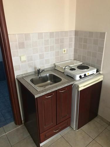 a kitchen with a sink and a stove at Hotel Manos in Paralia Katerinis