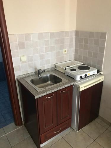 Kuchyň nebo kuchyňský kout v ubytování Hotel Manos