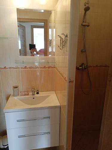 a bathroom with a sink and a shower with a mirror at Apartmán Zlatá rybka in Podhájska