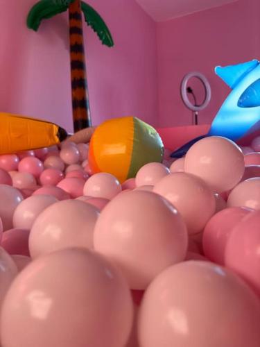#1 Most Viral Pink House w Ball Pit photo 11