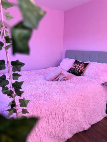 #1 Most Viral Pink House w Ball Pit photo 7