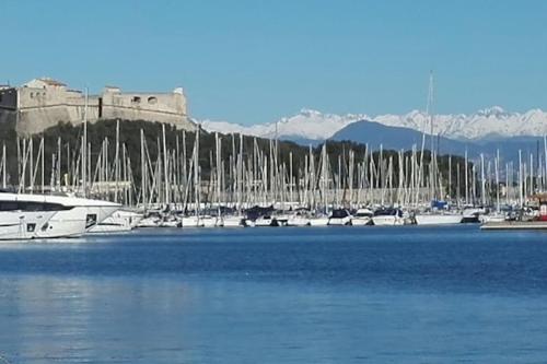 LA GRENILLE photo 25