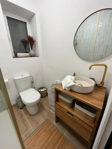 uma casa de banho com um WC, um lavatório e um espelho. em Appartement Hendaye em Urrugne