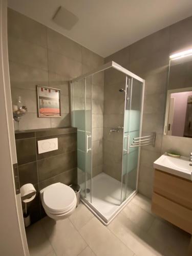 uma casa de banho com um chuveiro, um WC e um lavatório. em Vacances à la Ferme des Buffles em Travers