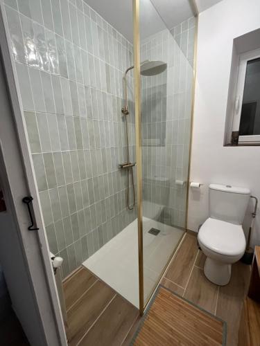 uma casa de banho com um chuveiro e um WC. em Appartement Hendaye em Urrugne