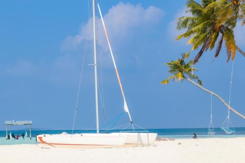 a sailboat on a beach with a palm tree at Ari Grand Hotel & Spa in Dhangethi