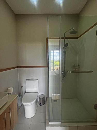 a bathroom with a toilet and a glass shower at Luxury Seaview Apartment in Palmyre